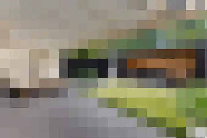 De Wervel 36 Alblasserdam thumbnail 53
