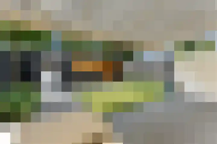 De Wervel 36 Alblasserdam thumbnail 55