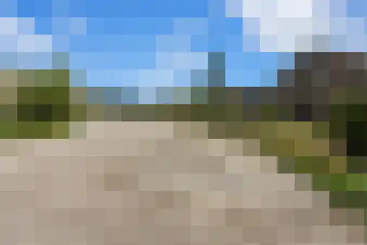 De Wervel 36 Alblasserdam thumbnail 60