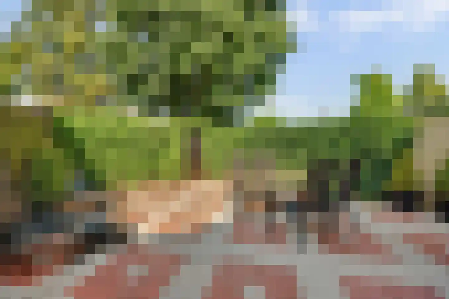 De Wervel 38 Alblasserdam thumbnail 36