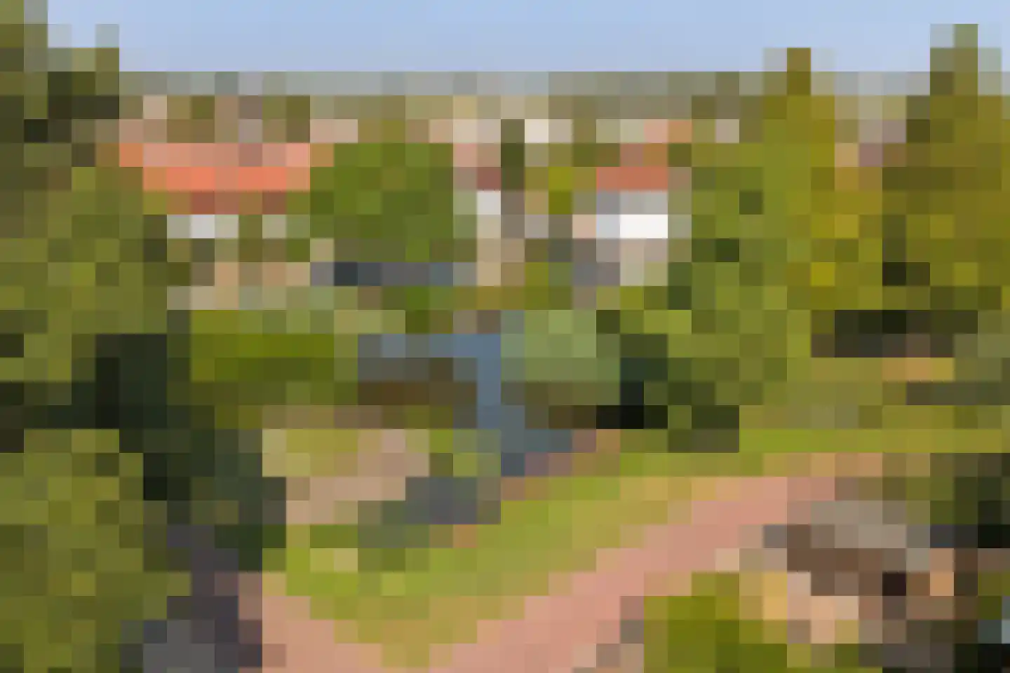 De Wervel 38 Alblasserdam thumbnail 43