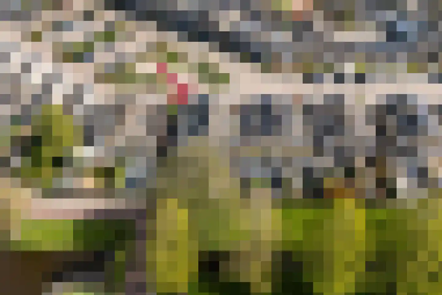 De Wervel 38 Alblasserdam thumbnail 43