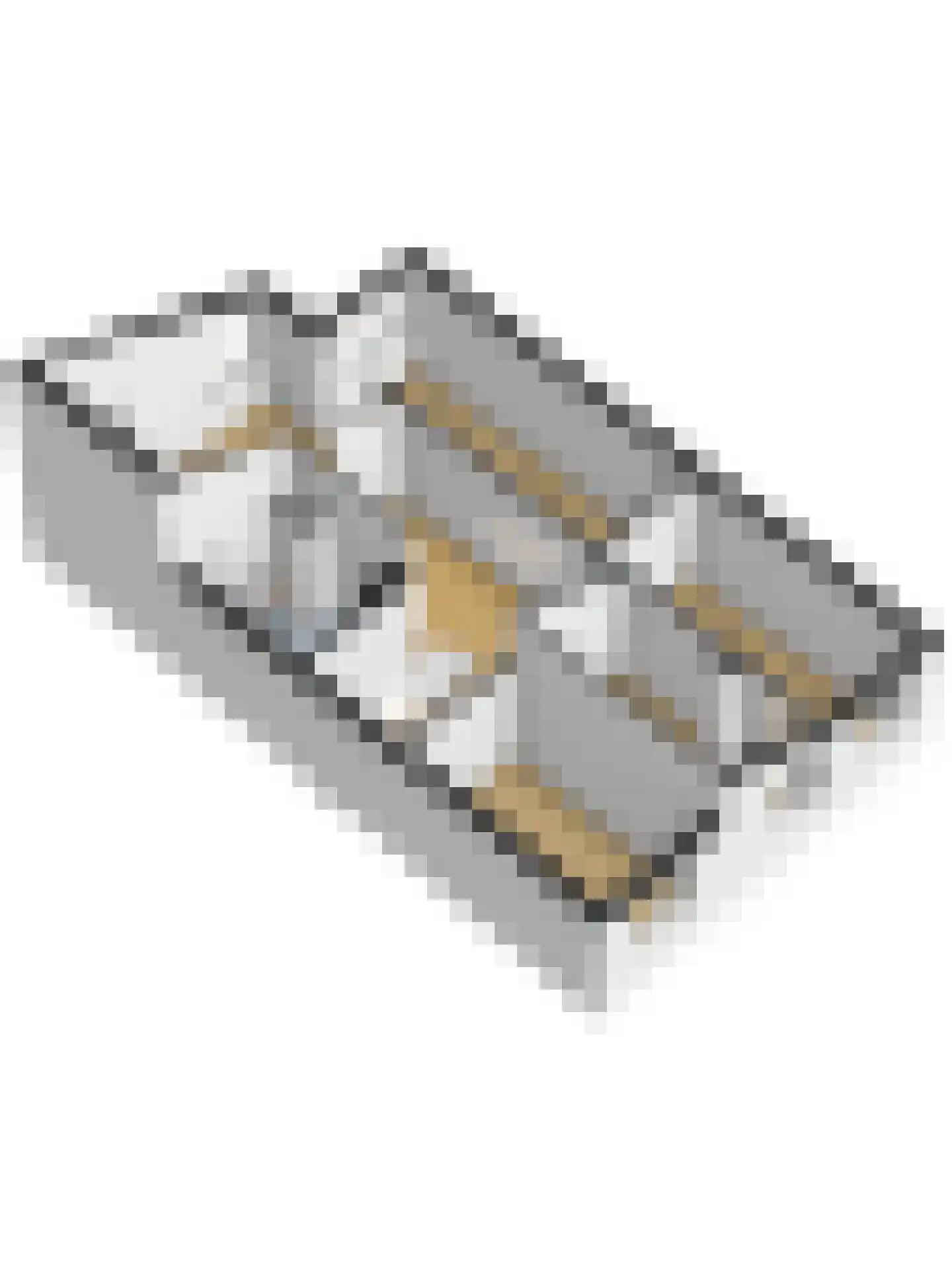 De Wervel 38 Alblasserdam thumbnail 49