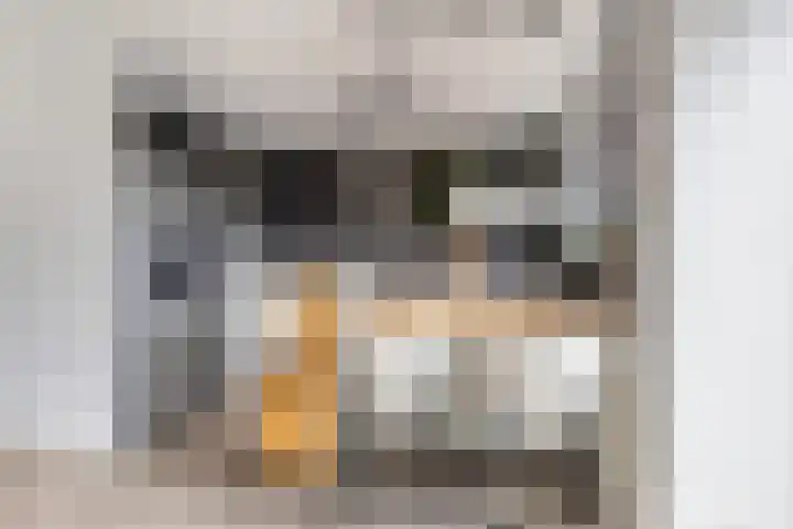 de Werven 17 Muiden thumbnail 13