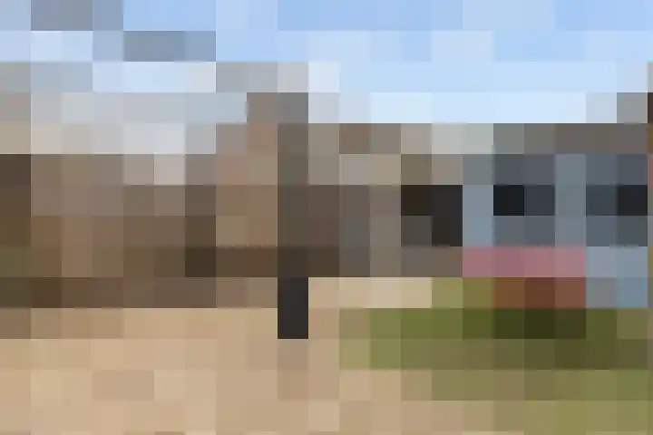 de Werven 17 Muiden thumbnail 15