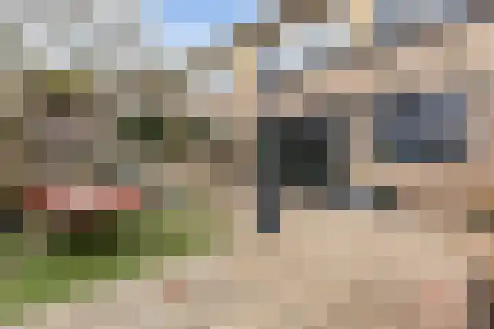 de Werven 17 Muiden thumbnail 16
