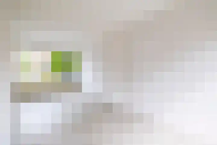 De Wetering 12 Drachten thumbnail 11