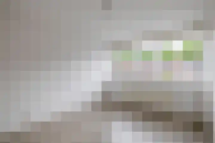 De Wetering 12 Drachten thumbnail 20