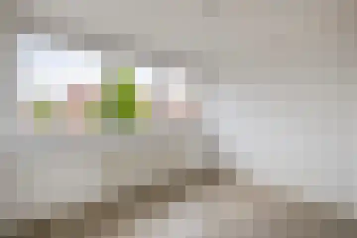 De Wetering 12 Drachten thumbnail 22