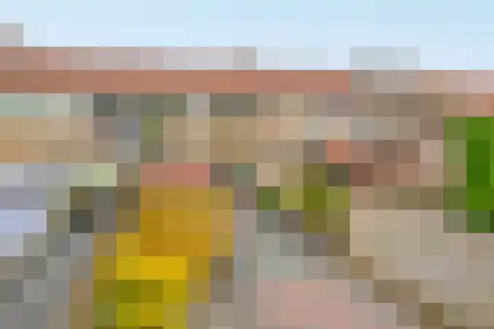 De Wetering 12 Drachten thumbnail 26