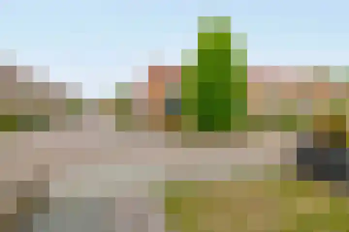 De Wetering 12 Drachten thumbnail 29
