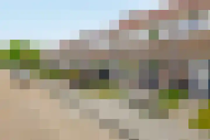 De Wetering 12 Drachten thumbnail 30