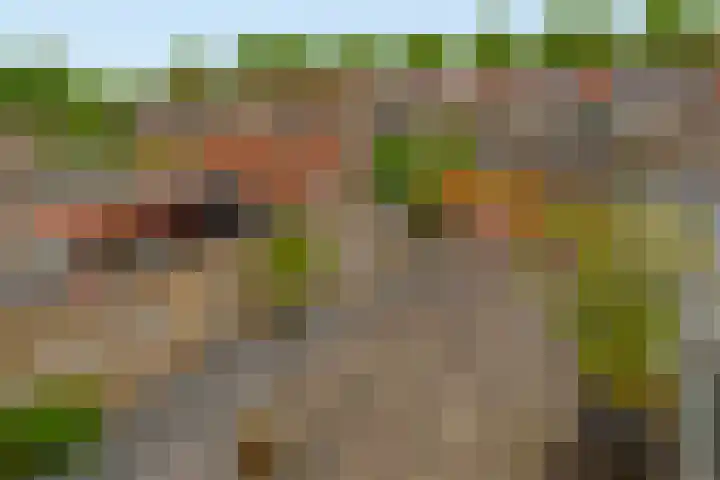 De Wetering 12 Drachten thumbnail 4
