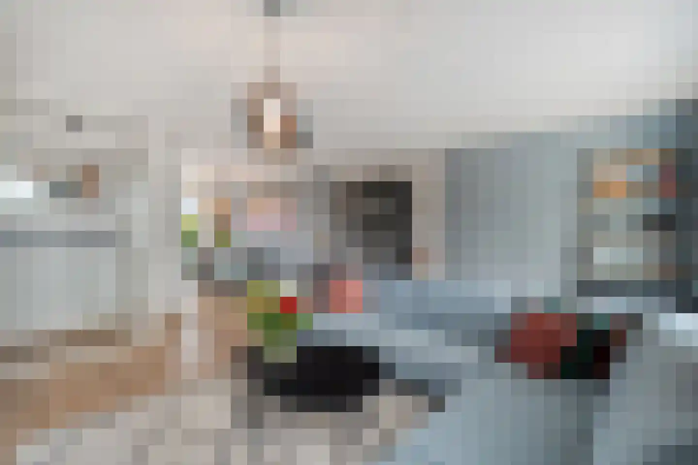 de Wetering 12 Schagen thumbnail 17