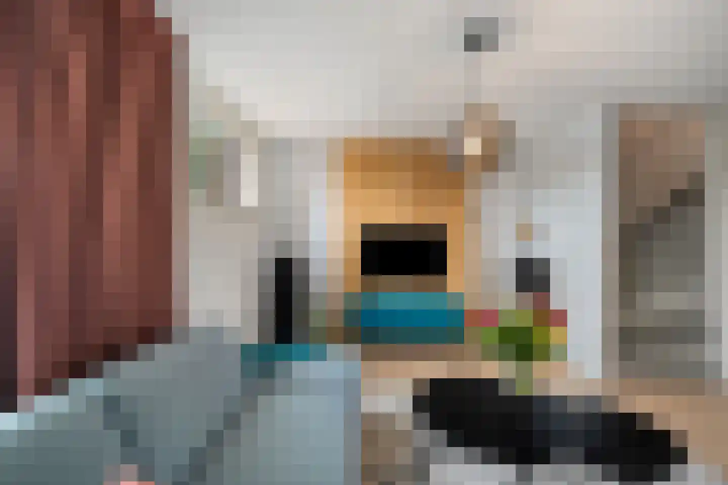 de Wetering 12 Schagen thumbnail 19