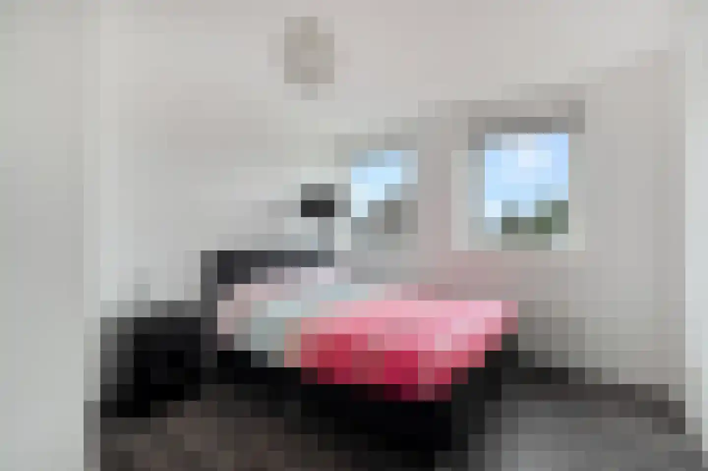 de Wetering 12 Schagen thumbnail 34