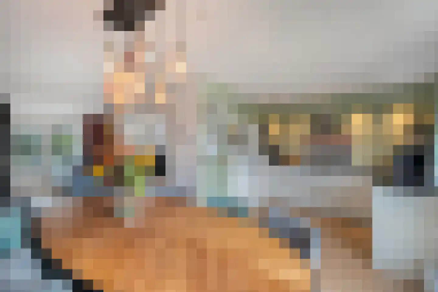 de Wetering 12 Schagen thumbnail 4