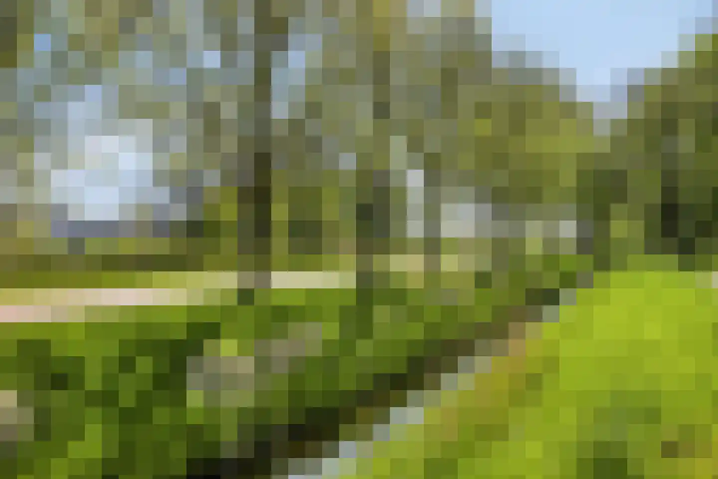 de Wetering 18 Schagen thumbnail 25