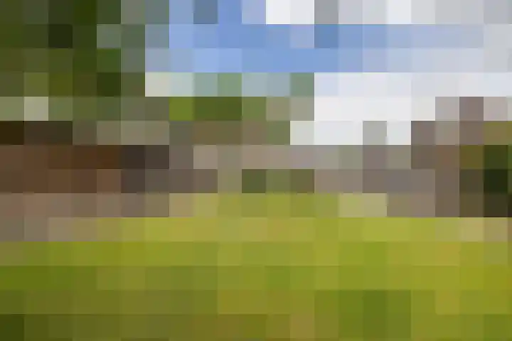 De Wetering 2 Leeuwarden thumbnail 21