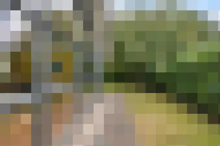 De Wetering 2 Leeuwarden thumbnail 22
