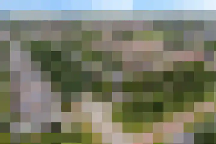 De Wetering 2 Leeuwarden thumbnail 39