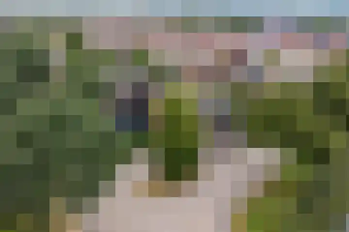 De Wetering 2 Leeuwarden thumbnail 43