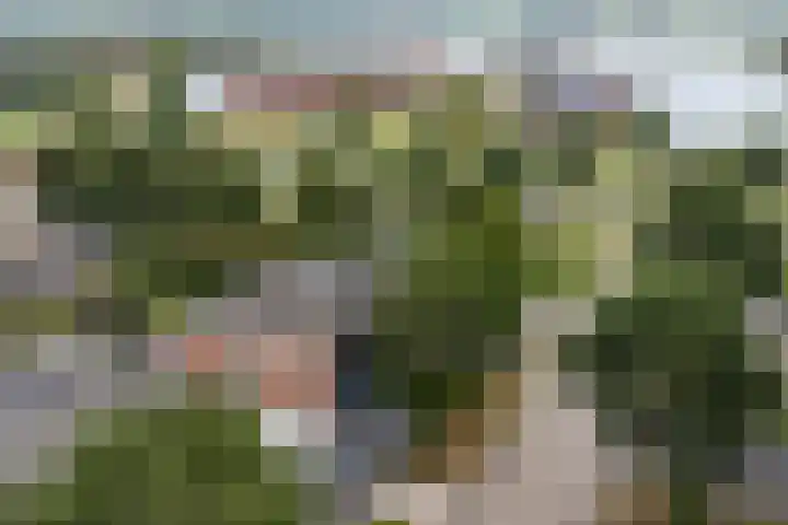 De Wetering 2 Leeuwarden thumbnail 44