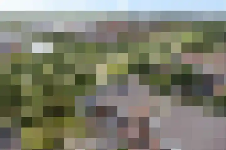 De Wetering 2 Leeuwarden thumbnail 46