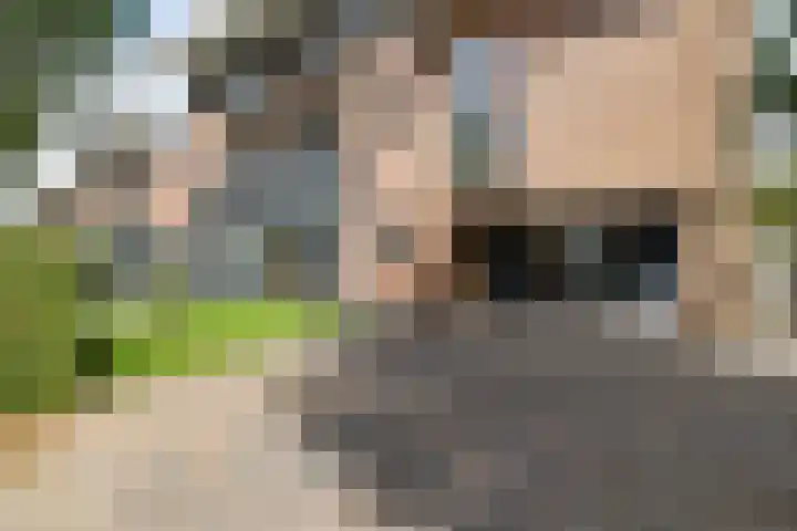 De Wetering 2 Leeuwarden thumbnail 51