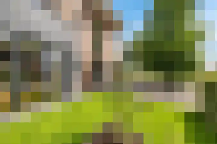 De Wetering 2 Leeuwarden thumbnail 52