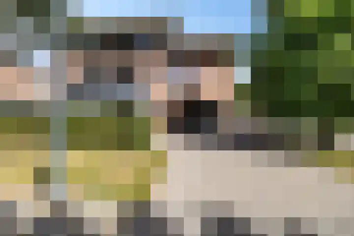 De Wetering 2 Leeuwarden thumbnail 53