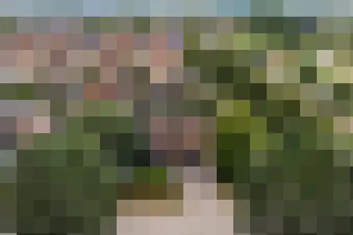 De Wetering 2 Leeuwarden thumbnail 57