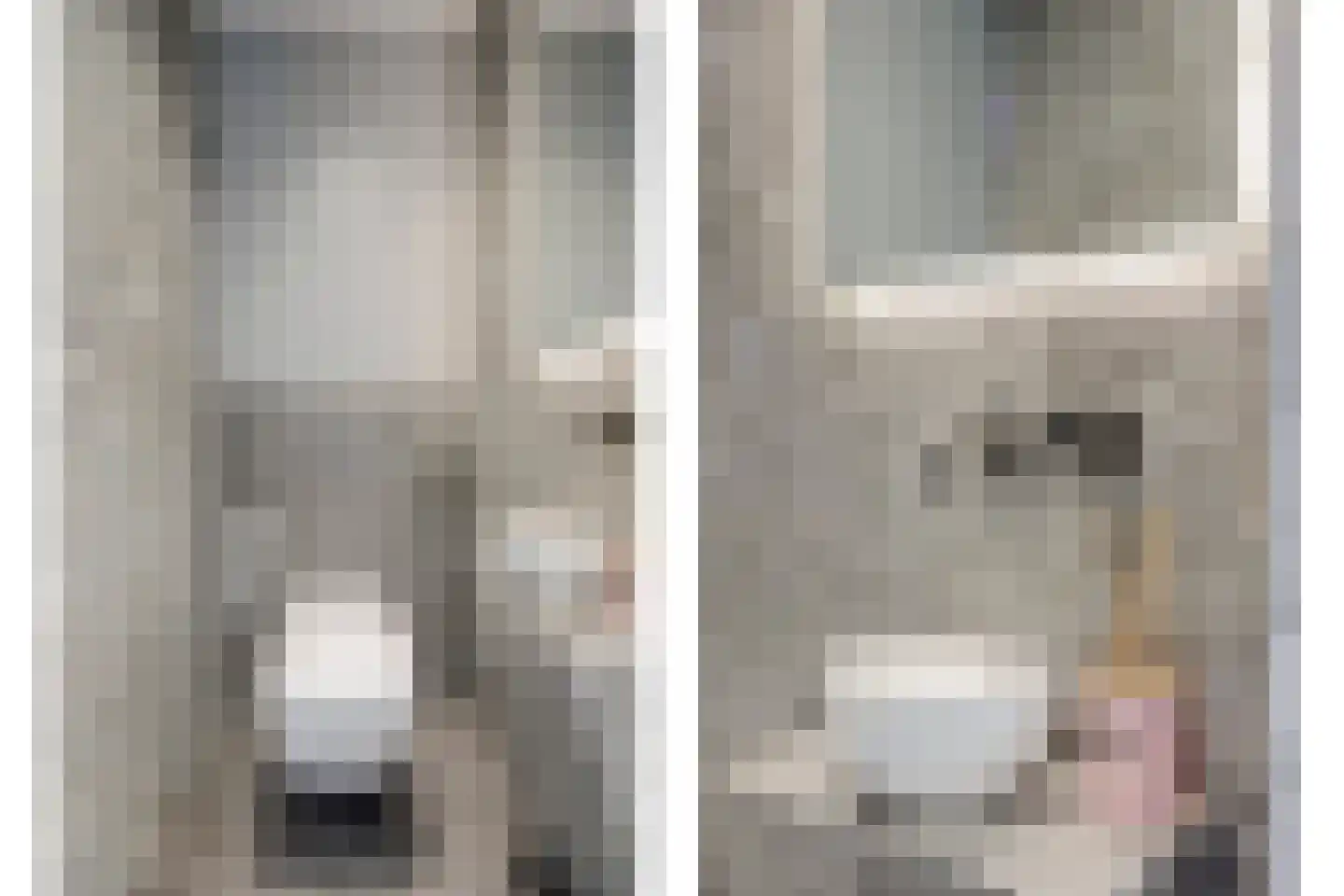 De Wetering 27 Spijkenisse thumbnail 18