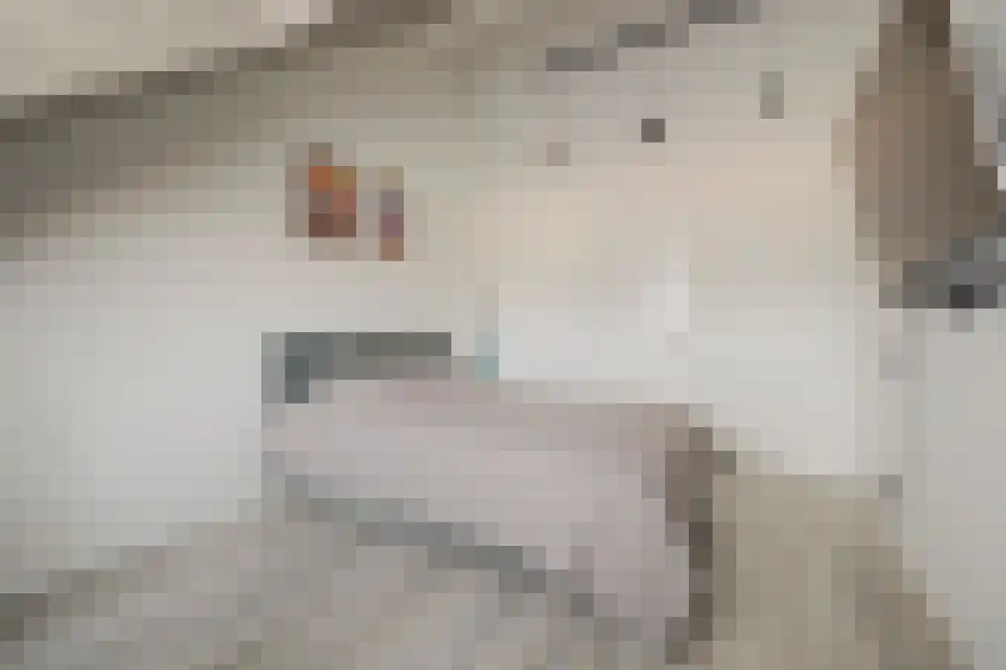 De Wetering 27 Spijkenisse thumbnail 33