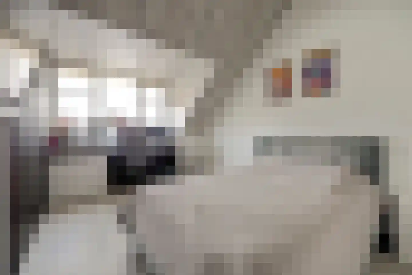 De Wetering 27 Spijkenisse thumbnail 34