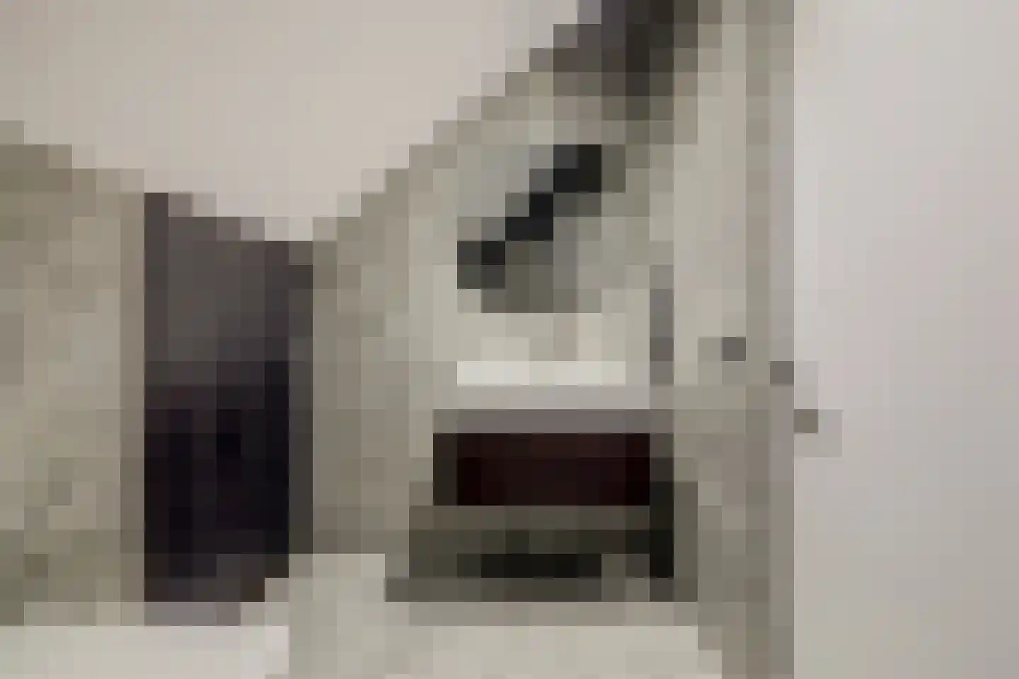 De Wetering 27 Spijkenisse thumbnail 36