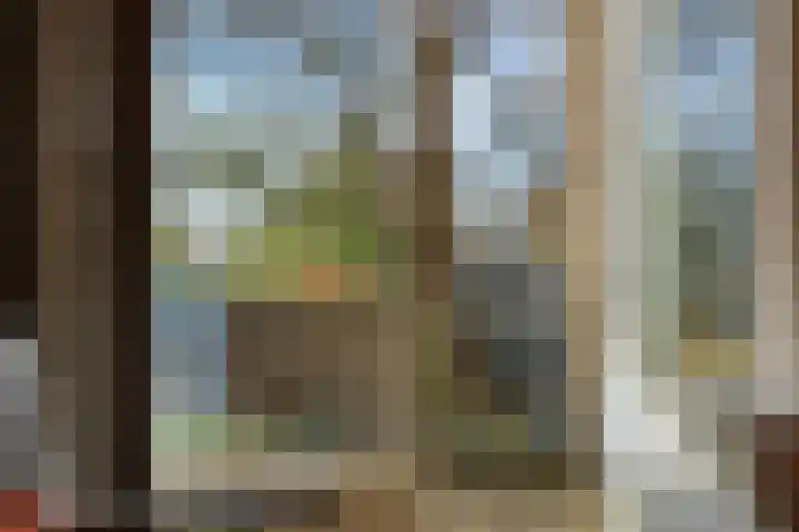 De Wetering 3 Ouderkerk aan den IJssel thumbnail 10