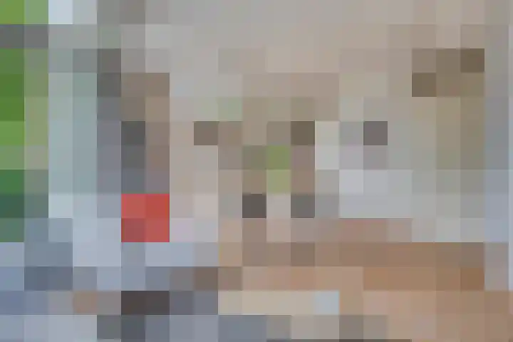 De Wetering 3 Ouderkerk aan den IJssel thumbnail 11
