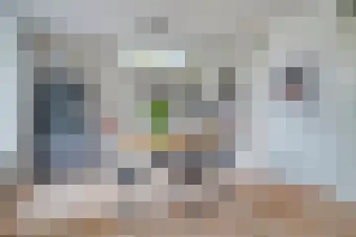De Wetering 3 Ouderkerk aan den IJssel thumbnail 12