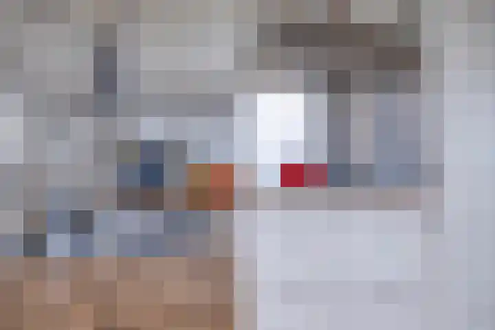 De Wetering 3 Ouderkerk aan den IJssel thumbnail 14