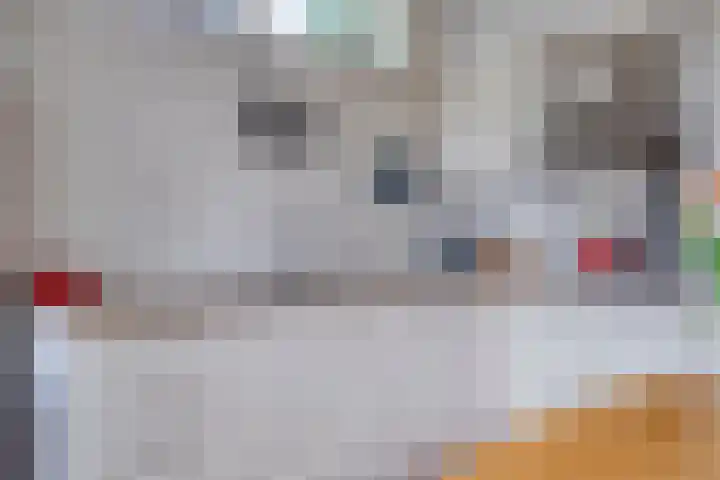 De Wetering 3 Ouderkerk aan den IJssel thumbnail 15