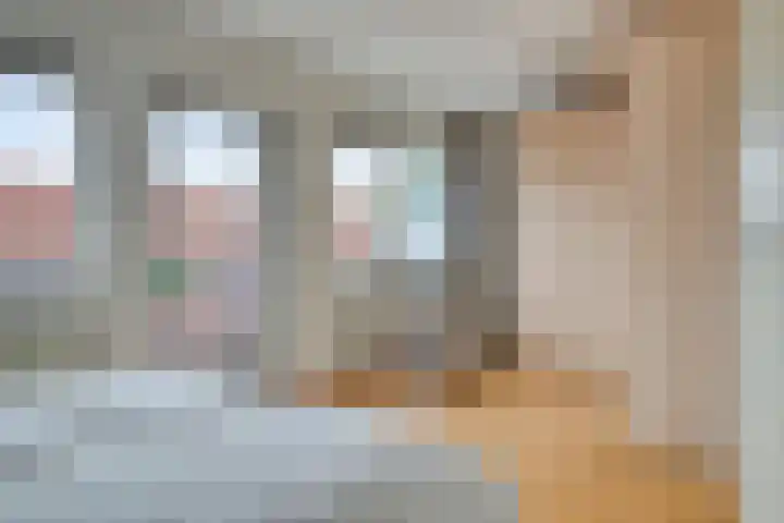 De Wetering 3 Ouderkerk aan den IJssel thumbnail 20