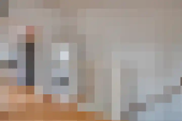 De Wetering 3 Ouderkerk aan den IJssel thumbnail 24