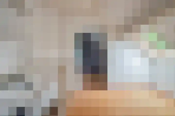 De Wetering 3 Ouderkerk aan den IJssel thumbnail 25
