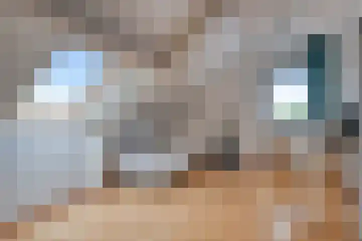 De Wetering 3 Ouderkerk aan den IJssel thumbnail 26
