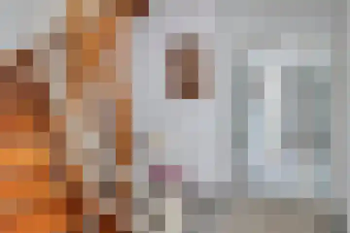 De Wetering 3 Ouderkerk aan den IJssel thumbnail 29