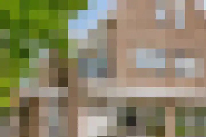 De Wetering 3 Ouderkerk aan den IJssel thumbnail 35