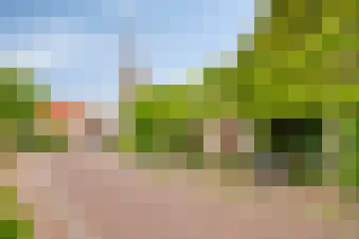 De Wetering 3 Ouderkerk aan den IJssel thumbnail 38