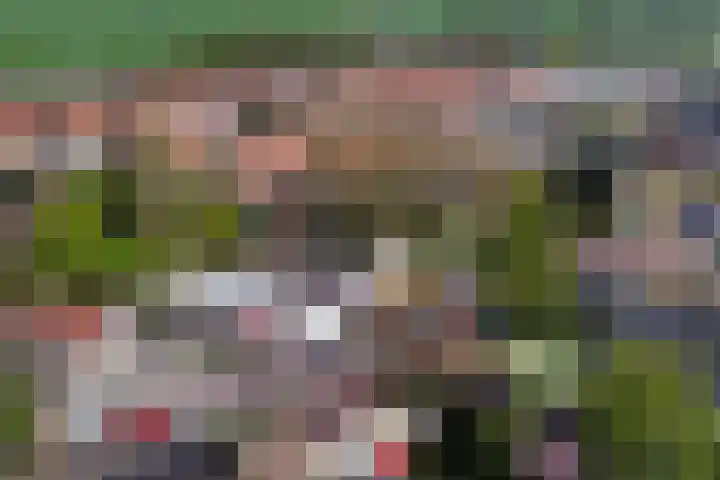 De Wetering 3 Ouderkerk aan den IJssel thumbnail 40
