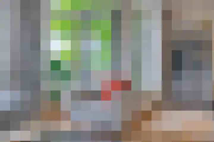 De Wetering 3 Ouderkerk aan den IJssel thumbnail 5